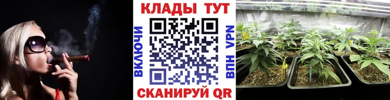 Купить наркоту Североморск Cocaine  Alpha PVP  ГАШИШ 