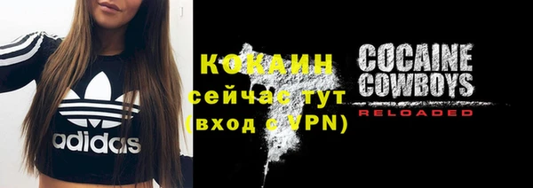 мескалин Няндома
