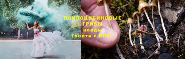 стаф Осташков