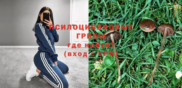мескалин Няндома
