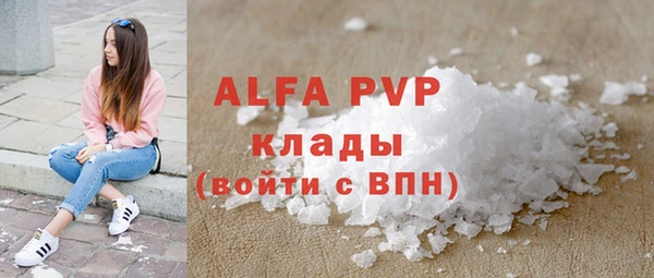 стаф Осташков