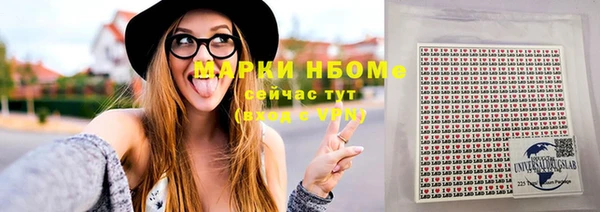 стаф Осташков