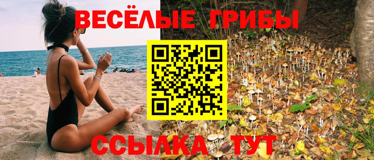Североморск  Галлюциногенные грибы Psilocybe  Вход с VPN 